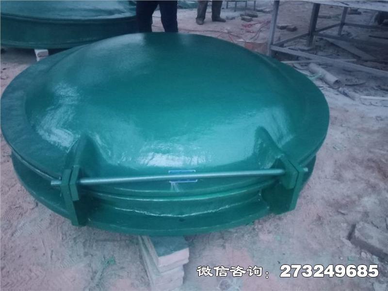 珠晖轻质玻璃钢拍门