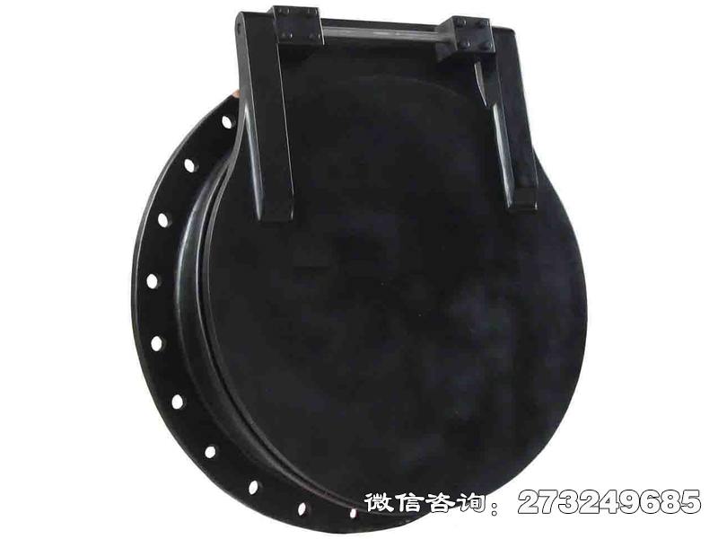 凤阳县pgz铸铁拍门